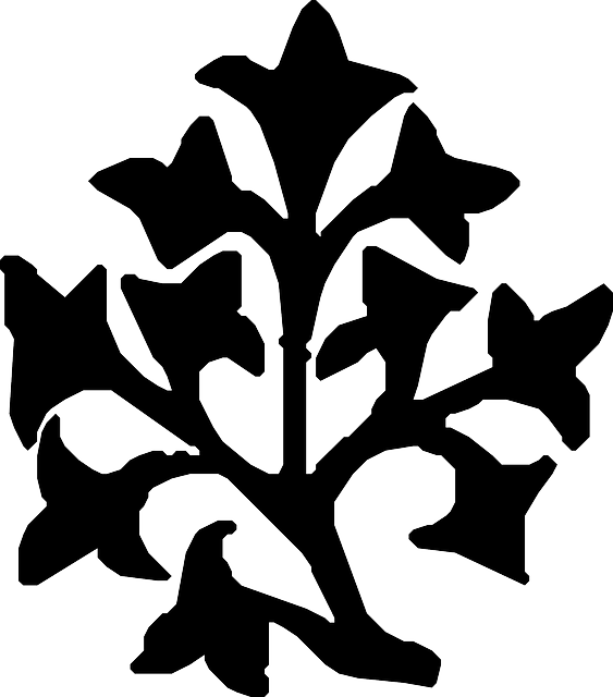 Dividers Black, Leaves, Divider, Decorative, Divide, - Decorative Leaf White Png (563x640)