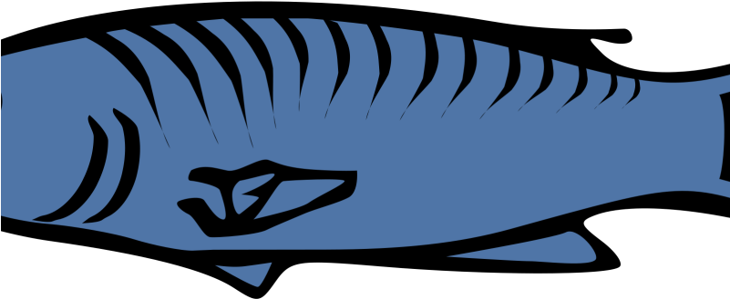 Chic Ideas Salmon Clip Art Fish Clipart North Park - Blue Fish Clip Art (800x342)