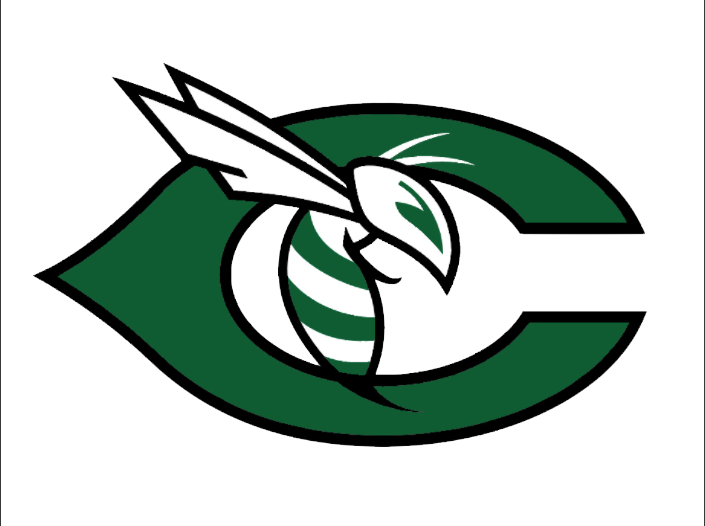 School Logo - Carter High School Hornet (705x526)
