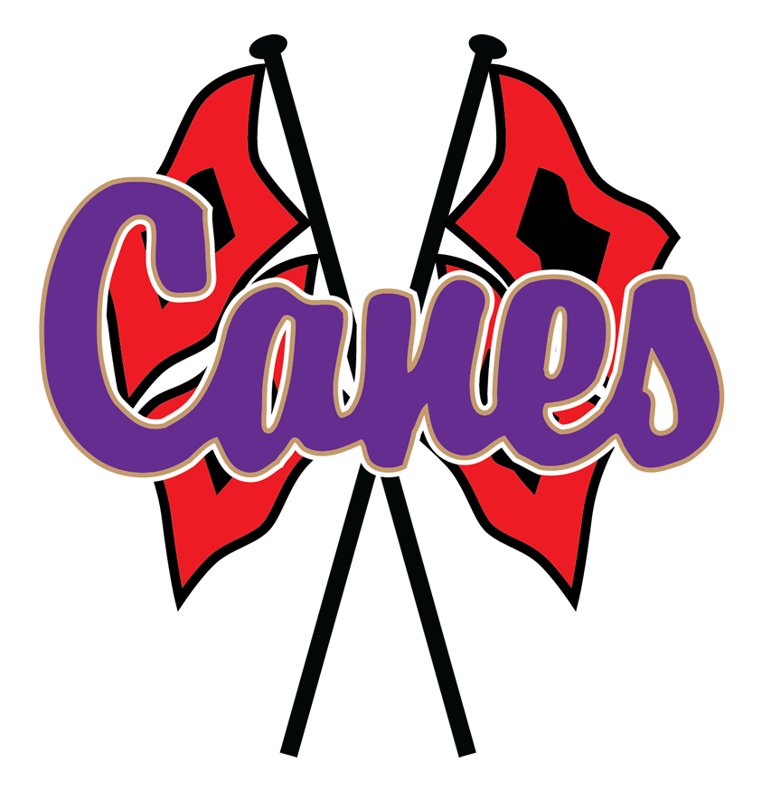 Cartersville Purple Hurricanes - Cartersville High School Logo (956x975)
