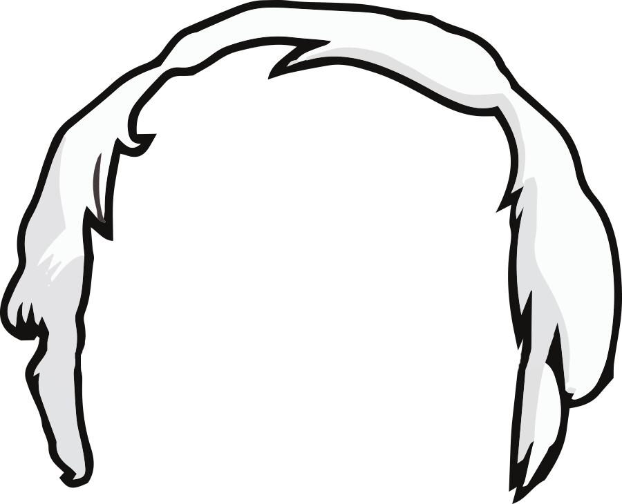 Bernie Sanders Hair Transparent (900x730)