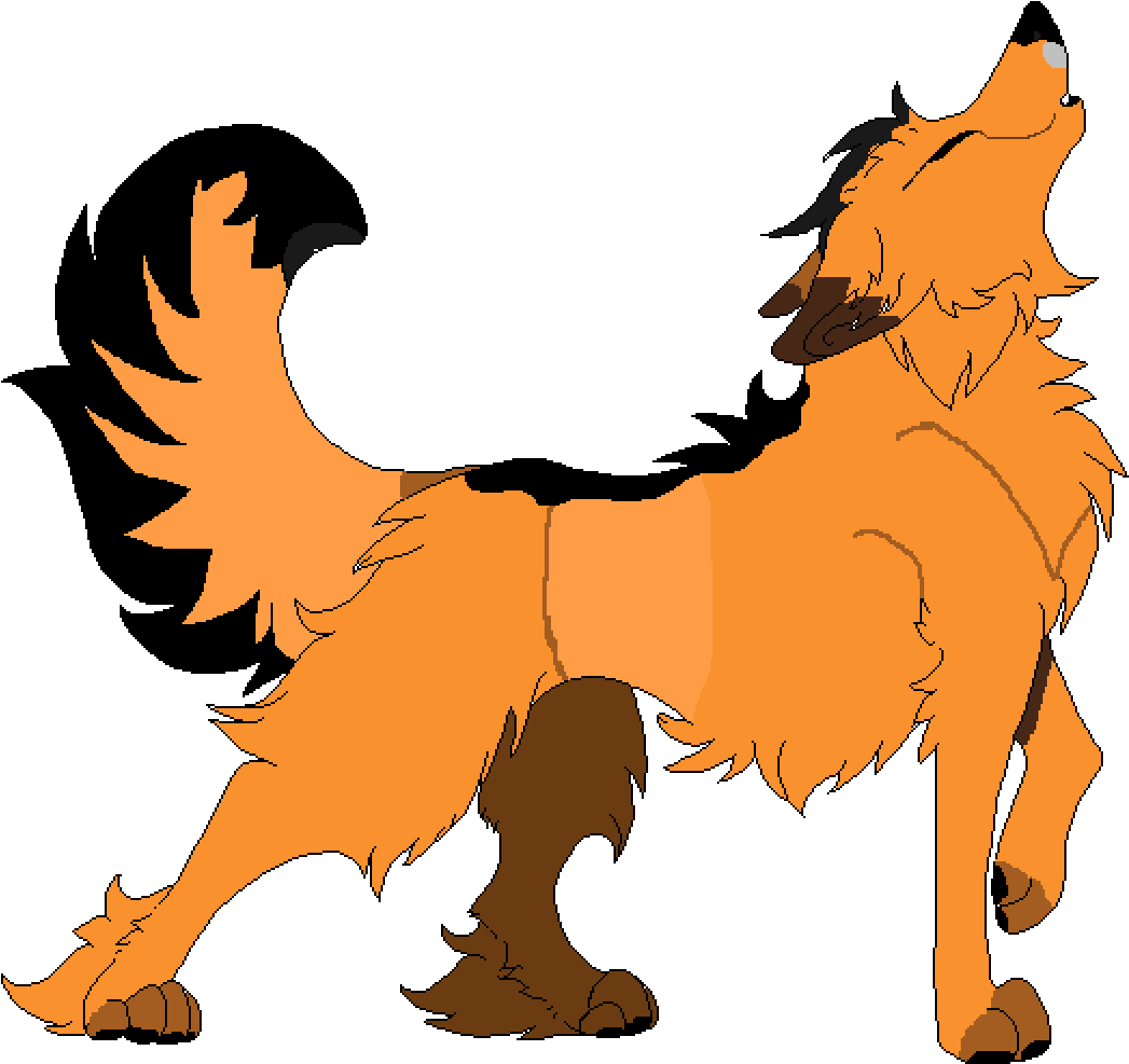 Jekins, My Chihuahua Shih Tzu Mix - Jekins, My Chihuahua Shih Tzu Mix (1300x1100)