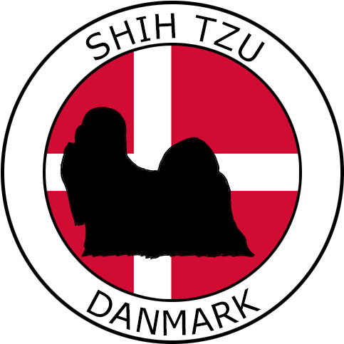 Årets Shih Tzu Konkurrence - Taekwondo (500x500)