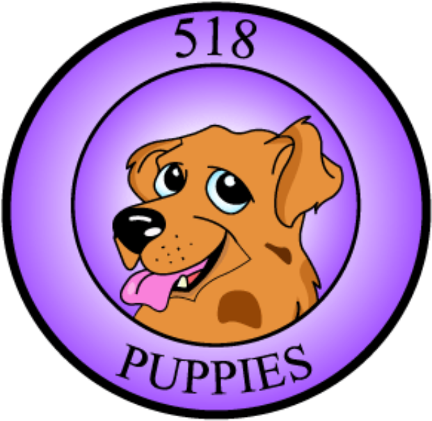 518puppies - Puppy (640x640)
