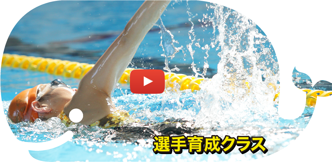 選手育成クラス - Swimming Pool (1182x565)