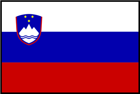 Slovenia - Slovenia Flag (500x500)