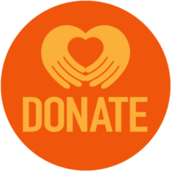 Donating Online Is Easy With St - Donation (768x768)