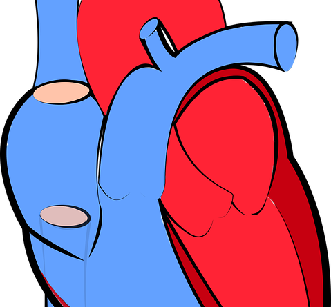 Chronic Obstructive Pulmonary Disease Therapeutics - Heart Disease Symptom Blocking Immune Cell Migration (479x445)