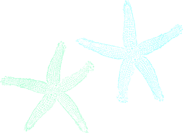 Mint Clipart Starfish - Fish Clip Art (600x436)
