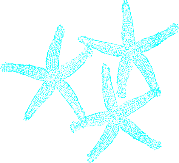 Starfish Clipart Mint - Wedding Starfish Clipart (600x548)