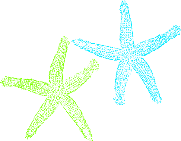 Starfish Clipart Heart - Lime Green Starfish Clipart (600x468)