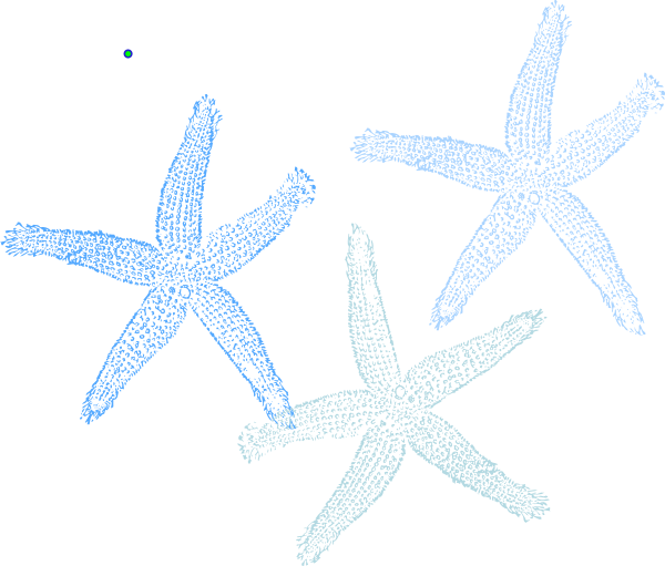 Blue Star Fish Clip Art - Starfish (600x511)
