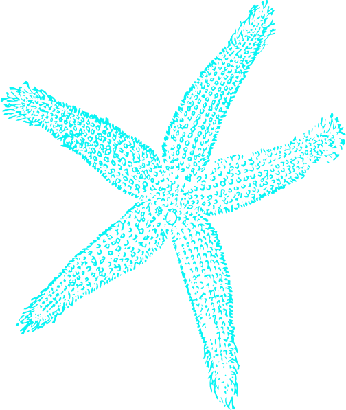 Blue - Starfish - Drawing - Png Starfish (504x597)