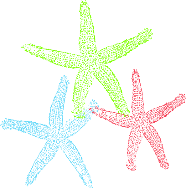 Starfish Public Domain Clipart - Free Starfish Clip Art (594x601)