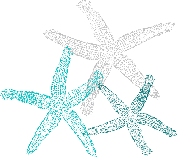 Multiple - Blue Starfish Clip Art (600x532)