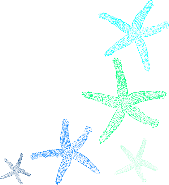 Starfish Prints Clip Art - Star Fish Clip Art Free (546x595)