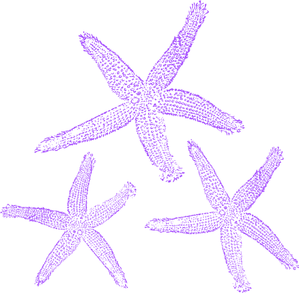 Marine Clipart Purple Starfish - Private Listing For Pam 2 Pair Custom Angela Style (600x588)
