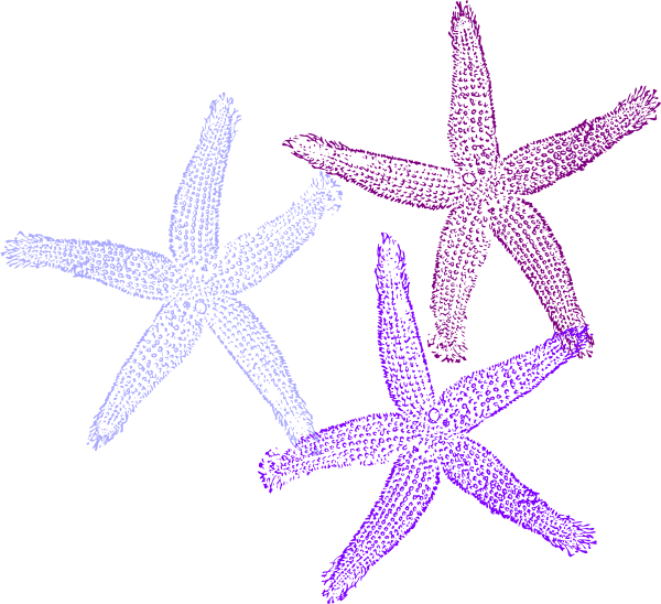 Purple Starfish Clipart - Blue And Purple Starfish (600x548)