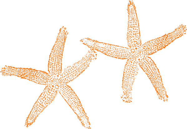 Starfish Clipart Orange Starfish - Beach Wedding Welcome Bag (600x414)