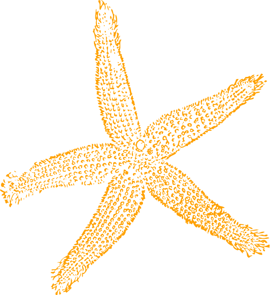 Sandy Starfish Clip Art At Clker - Fish Clip Art (546x598)