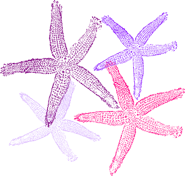 Best Starfish Prints Purplish Clip Art With Cute Starfish - Starfish Transparent (600x569)