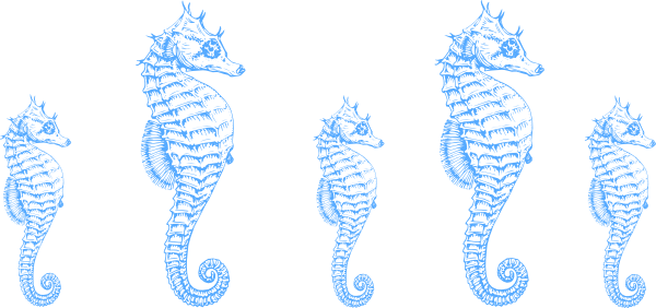 Seahorse Clipart Border - Seahorse Clipart Border (600x282)