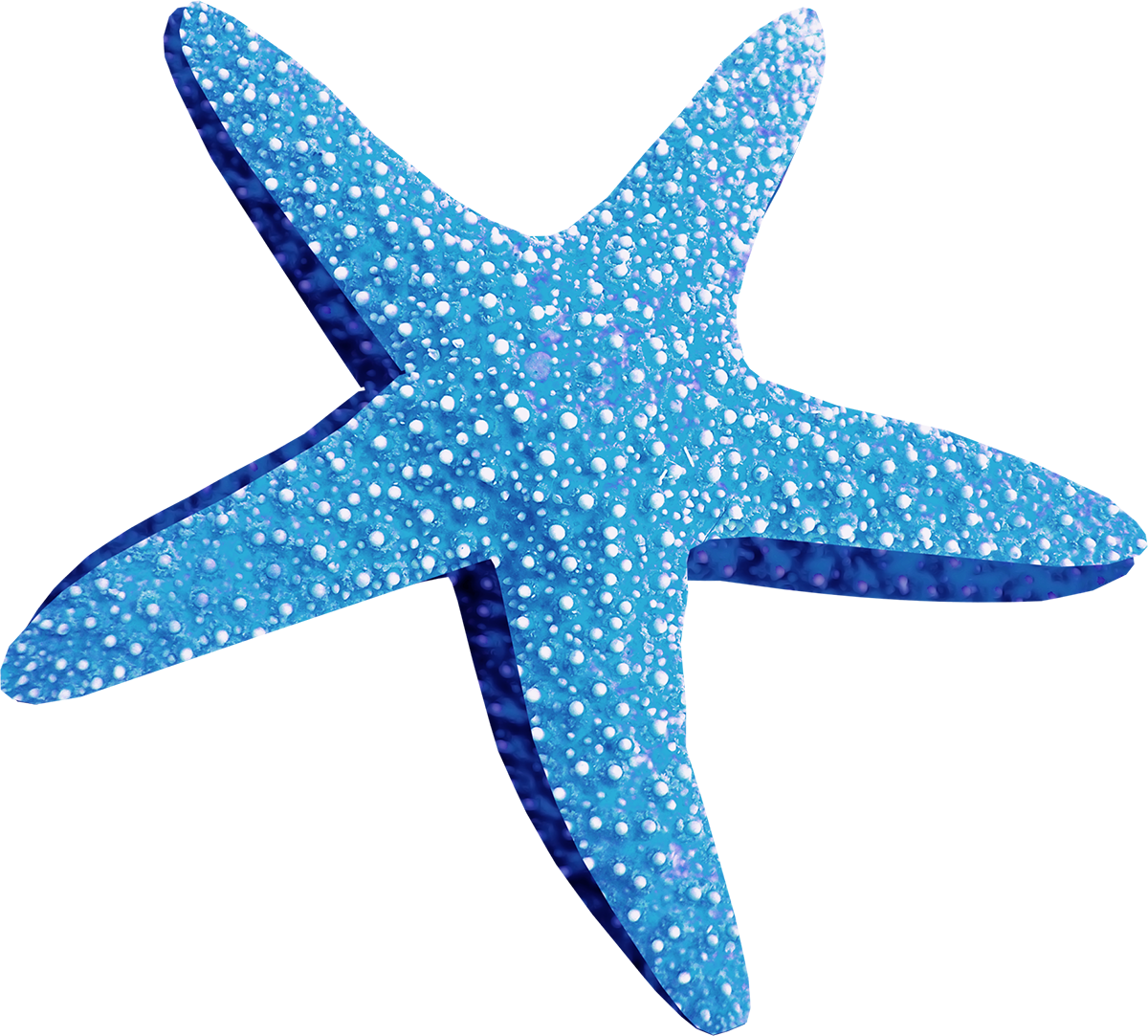 Blue Starfish Png Blue Starfish Png - Estrella De Mar .png (1200x1083)