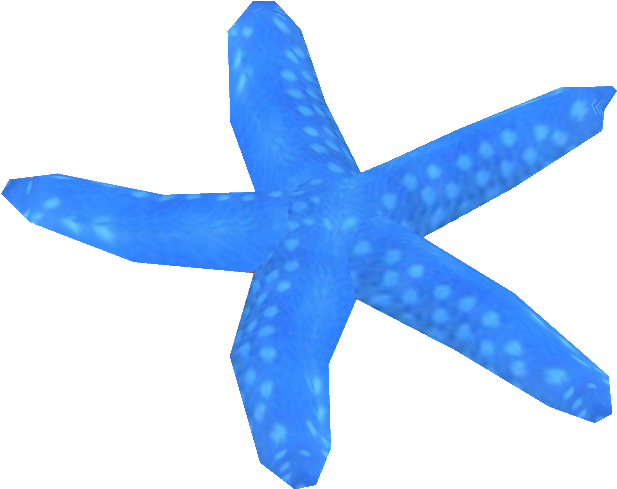 Blue Sea Star - Starfish (635x635)