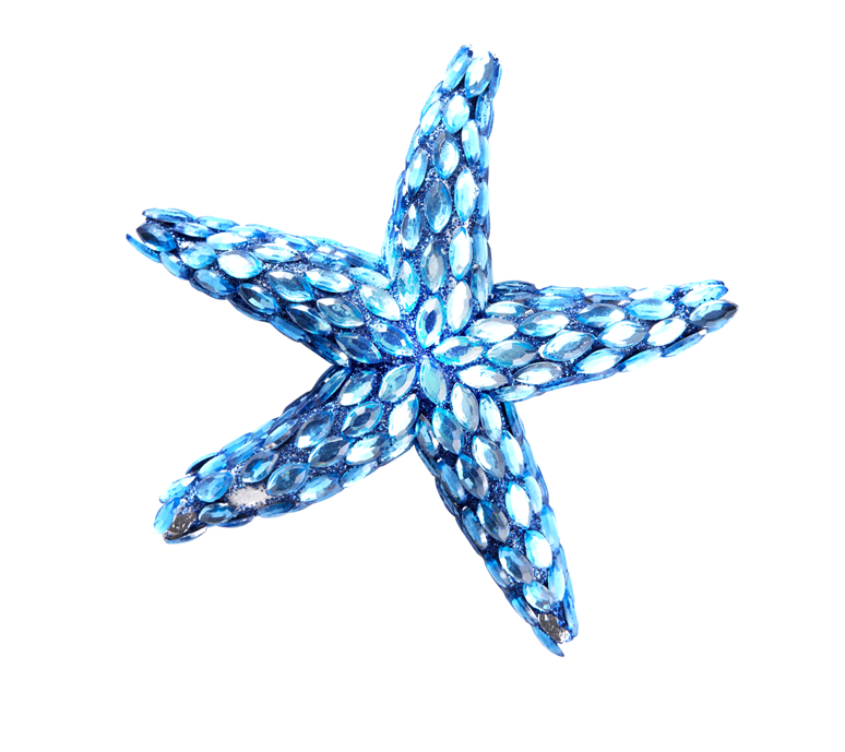 Download Png - Png Starfish Blue (774x689)