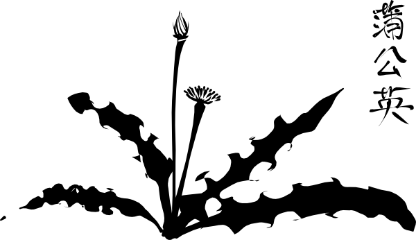 Calligraphic Dandelion Clip Art - Dandelion Silhouette (600x346)