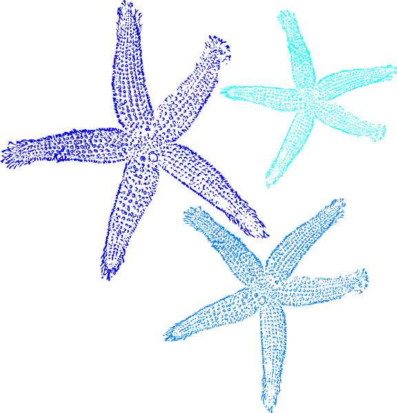 Blue Starfish Clipart - Blue Starfish Clip Art (576x598)