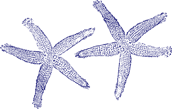Blue Starfish Clip Art - Navy Blue Starfish Clipart (600x381)