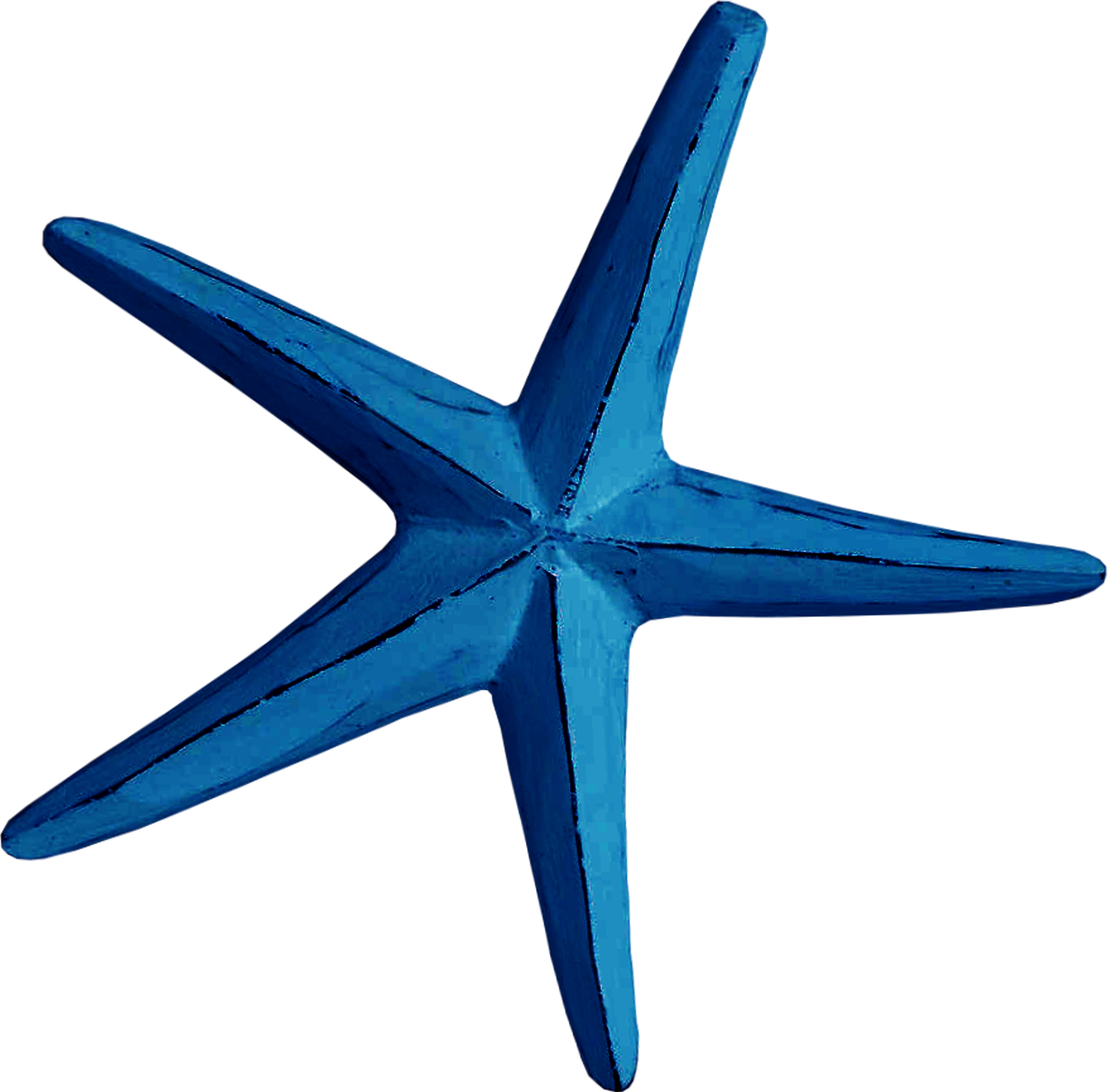 Starfish Blue Creativity Euclidean Vector - Clip Art (1948x1921)