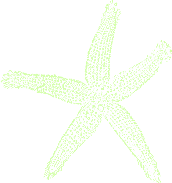 Single Starfish Seafoam Clip Art - Fish Clip Art (564x599)
