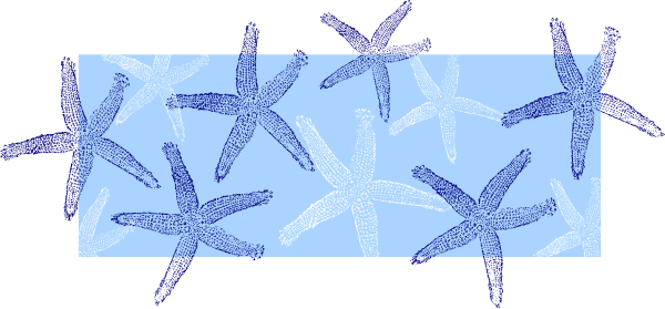 Blue Starfish Clipart (600x279)