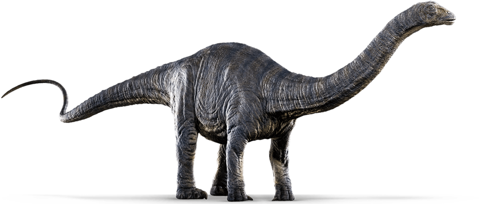 Jurassic World Png Image - Jurassic World Apatosaurus (1024x429)
