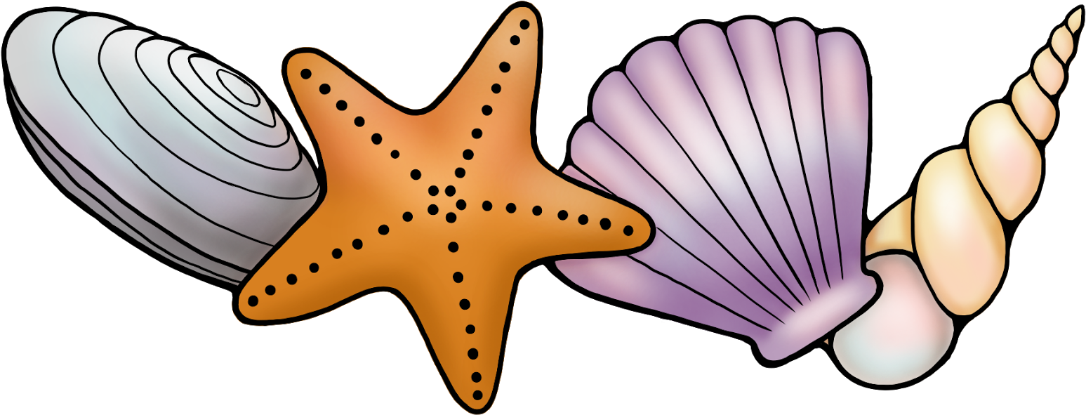 I Really Hope You Like Them - Transparent Seashell Border (1600x638)