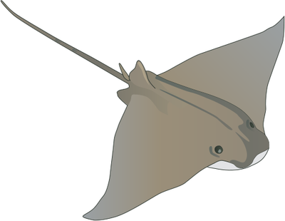 Manta Ray Svg - Ray Fish Drawing (400x310)