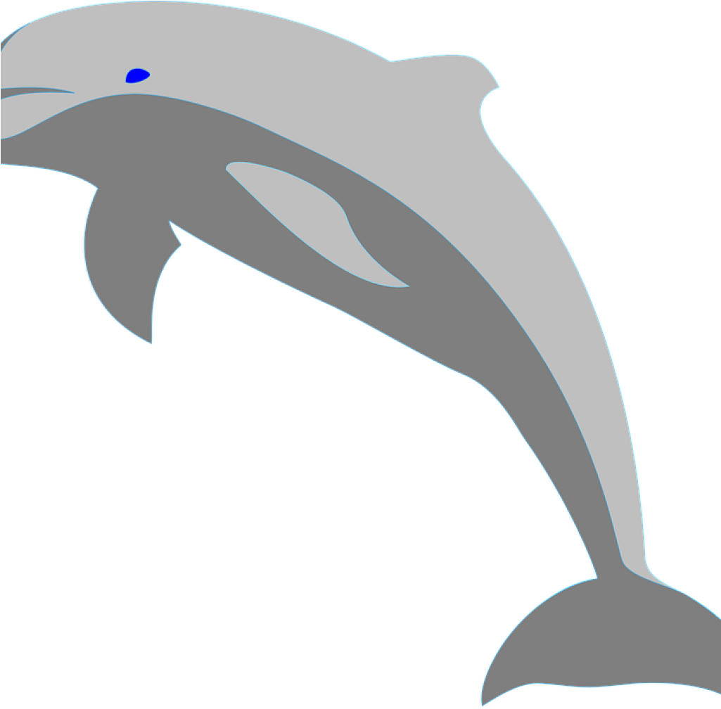 Dolphin Clipart Dolphin Fish Porpoise Sea Free Vector - Dolphin Png (1024x1024)