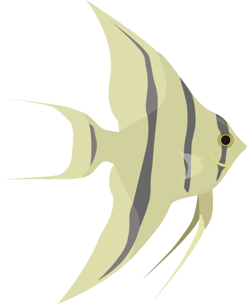 Angelfish Clipart Different Fish - Angel Fish Logo (486x599)