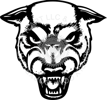 Face Growling - Panther Face Clip Art Transparent (361x339)