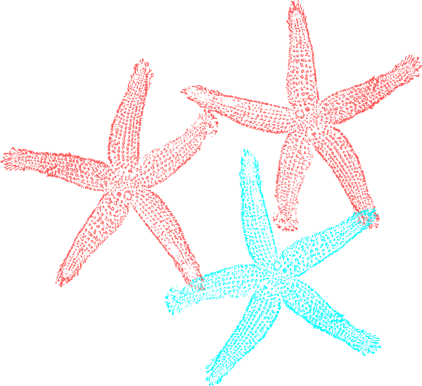 Shell Clipart Coral Pink (600x549)