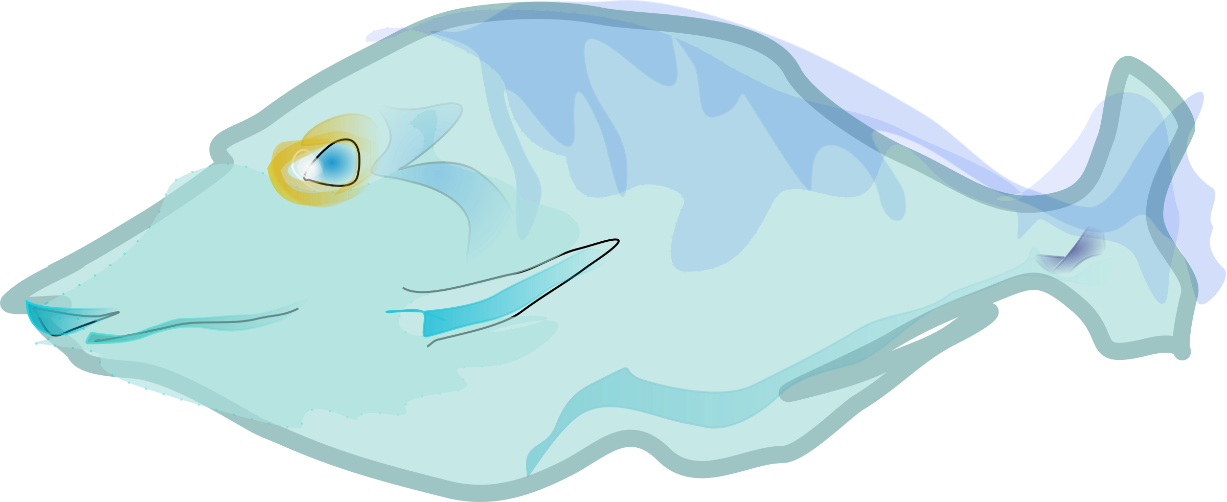 Big Image - Flounder Fish Shower Curtain (2400x982)