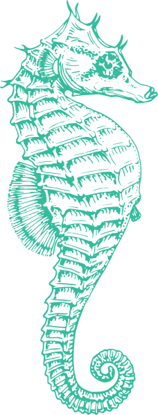 Coral Clipart Seahorse - Pink Seahorse Clipart (228x597)