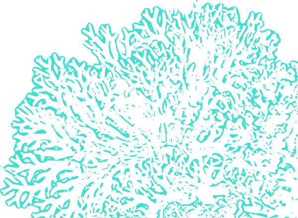 Aqua Coral Reef Clip Art At Vector Clip Art Online - Teal Coral Clip Art (600x439)