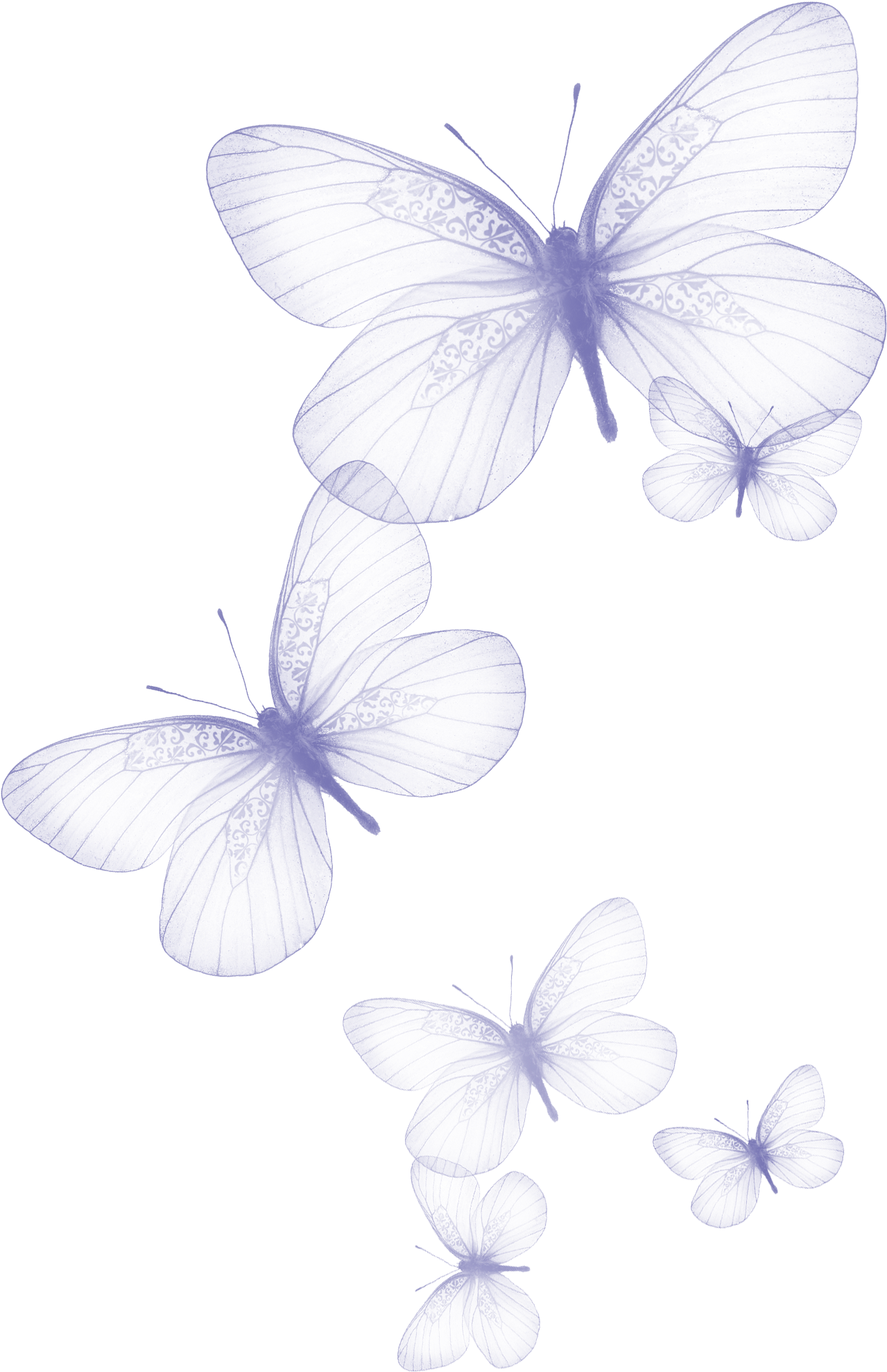 Transparent Butterfly Png Clipart Picture - Butterfly Png (1422x2057)
