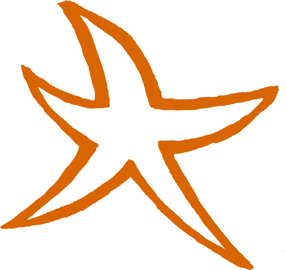Finest Starfish With Starfish - Finest Starfish With Starfish (1000x1000)