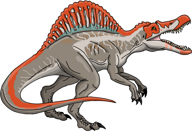 Spinosaurus Jurassic World Evolution Jurassic Park - Jurassic Park Spinosaurus Drawing (823x576)