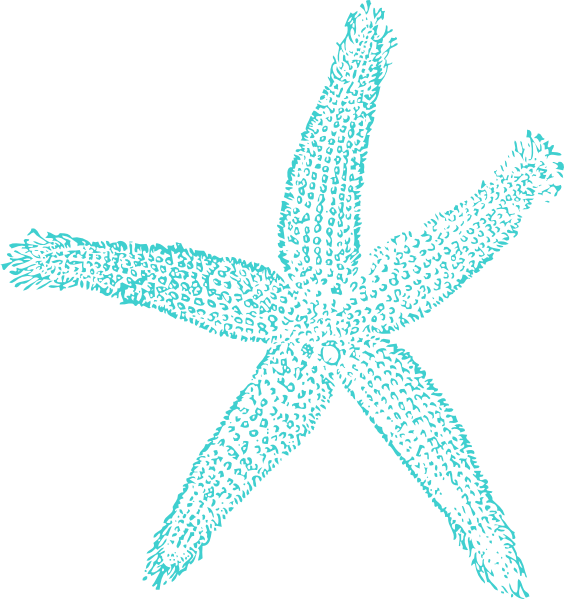 Turquoise Starfish Clip Art At Clker - Starfish Clipart Teal (564x599)