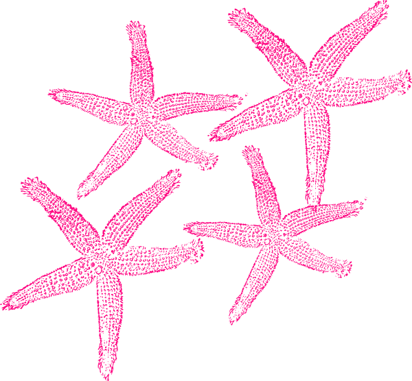 Wedding Starfish Clipart Exclusive Photo Of - Fish Clip Art (600x556)